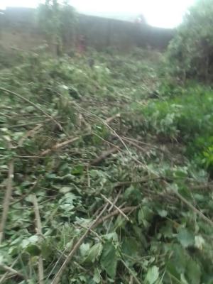 Farm Land for Long Lease, Remo North, Ogun, Commercial Land for Rent