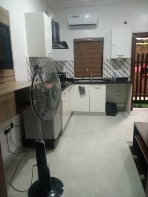 Mini Flat, Ikate, Lekki, Lagos, Mini Flat (room and Parlour) for Rent