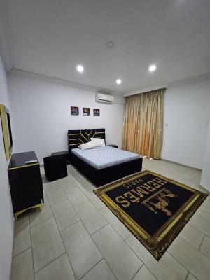 Fully Furnished and Serviced 5 Bedroom Terrace Duplex and a Guest Room, Maitama District, Abuja, Terraced Duplex for Rent
