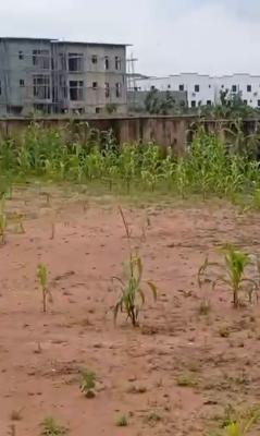 1000sqm, Residential, C of O, Behind Bon Hotel, Katampe (main), Katampe, Abuja, Residential Land for Sale