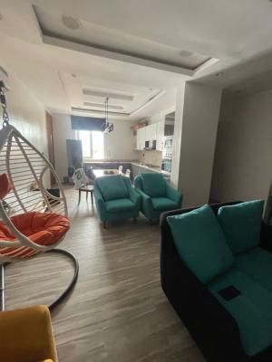 Luxury 2 Bedroom Finished Apartment, Ikate, Lekki, Lagos, Flat / Apartment for Rent