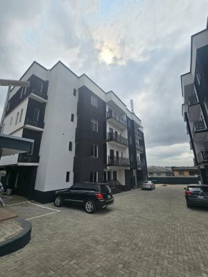 Most Affordable Built 3 Bedroom Apartment, Ogba, Ikeja, Lagos, Flat / Apartment for Sale