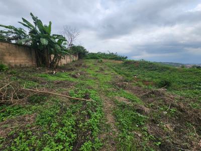 own 2 Prime Land Plots Ready for Development!, Oke Mosan, Abeokuta South, Ogun, Residential Land for Sale