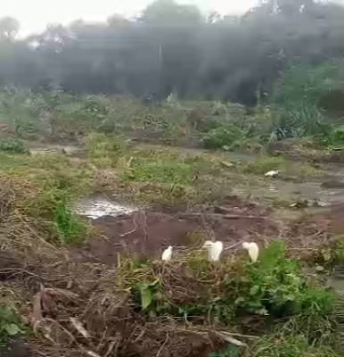 1 Acre of Dry Bare Land Along The Express Way, Along Abeokuta - Lagos Expressway, Km 46, Ogun, Mixed-use Land for Sale