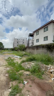 Bareland of Approximately 3,000sqm, Off Alfred Rewane Road, Old Ikoyi, Ikoyi, Lagos, Mixed-use Land for Rent