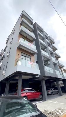 Contemporary 2 Bedrooms Apartment, Ikate, Lekki, Lagos, Flat / Apartment for Sale