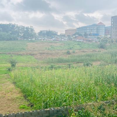 Multipurpose Land  in Jabi, Abuja -- 4,125 sqm, Fcda C of O, Jabi, Abuja, Mixed-use Land for Sale