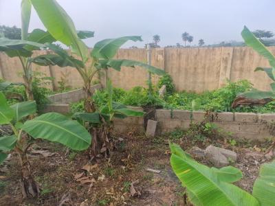 2.5 Plots of Land Asaba By 2nd Naija Bridge and Airport 24hrs Light, Asaba, Delta, Mixed-use Land for Sale