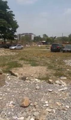 4,049sqm, Commercial, Fcda C of O, Opposite Church Gate, Central Business District, Abuja, Commercial Land for Sale