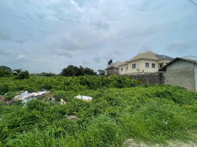 2 Plots of Land on a Tarred Road, Budo Pennisular Estate, Ajah, Lagos, Land for Sale