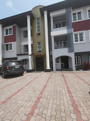 Spacious 3 Bedroom Apartment with a 1 Room Studio Bq, Lekki Phase 1, Lekki, Lagos, Flat / Apartment for Rent