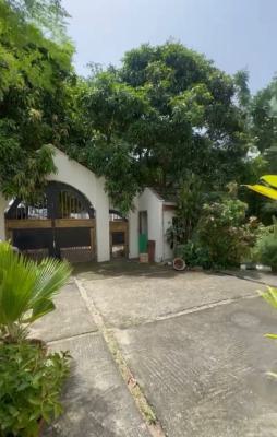 Spacious 5 Bedroom, Victoria Island (vi), Lagos, Detached Duplex for Sale