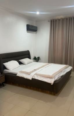 Shared Apartment, Lekki Phase 1, Lekki, Lagos, House for Rent