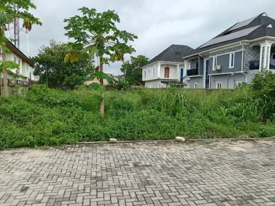 Prime Serviced Plots, Fountain Springville Shoprite Road, Sangotedo, Ajah, Lagos, Residential Land for Sale