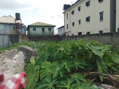 Full Plot of Land with Excellent Road Network, Terra Annex Estate, Sangotedo, Ajah, Lagos, Residential Land for Sale