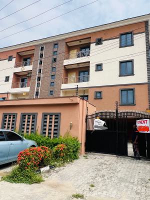 Standard 2 Bedroom Apartment in a Secured Neighborhood, Lekki, Lekki Phase 1, Lekki, Lagos, Flat / Apartment for Rent