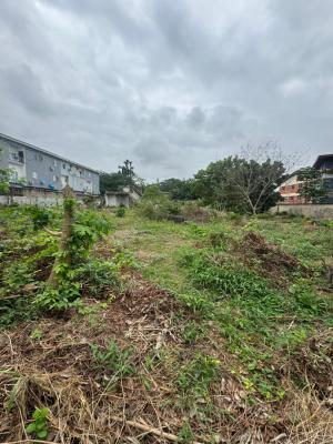 an Empty Land in Secured and Serene Environment, Palmgroove Estate, Palmgrove, Ilupeju, Lagos, Residential Land for Sale