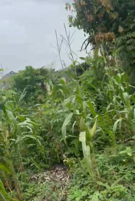a Plot of Land, Behind Beloved School Area Owode Ede, Osogbo, Osun, Residential Land for Sale