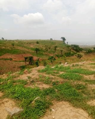 Estate Plots, Asokoro District, Abuja, Residential Land for Sale
