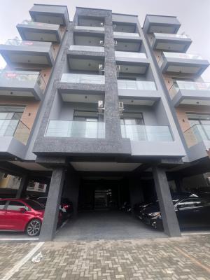 Brand New Luxurious 2 Fully Bedroom Apartment, Ikate, Lekki, Lagos, Flat / Apartment for Sale