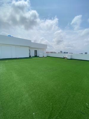 Lovely 3 Bedroom Penthouse with a Spacious Rooftop Terrace, Ikoyi, Lagos, Flat / Apartment for Sale
