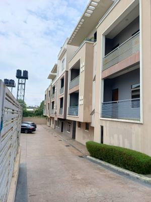Exquisitely Finished and Spacious 3 Bedroom Apartment with a Bq, Guzape District, Abuja, Flat / Apartment for Rent