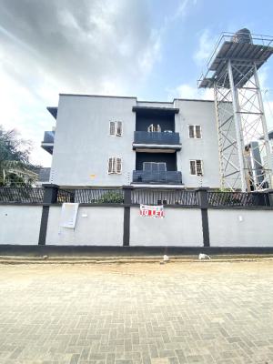 Fully Furnished 2 Bedroom Massionate in a Secure Estate, Ikate, Lekki, Lagos, House for Rent