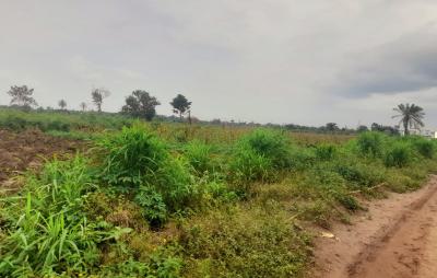 Half and Full Plots and Acres of Lands at Okpanam Area of Asaba, Okpanam, Asaba, Delta, Residential Land for Sale