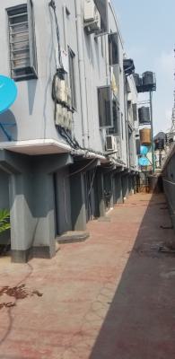 Fantastic 2 Bedroom Flat with Modern Facilities, Aguda, Surulere, Lagos, Flat / Apartment for Rent