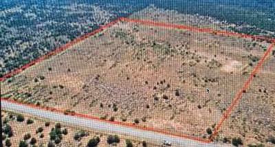 100 Hectares of Titled Land in The Maitama Ii Precinct on Offer, Maitama 2, Maitama District, Abuja, Land for Sale