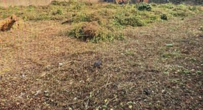 Premium 21- Hectares on Offer for Development, Guzape District, Abuja, Land for Sale