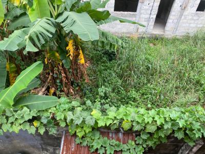 One Plot of Land, Reefcourts Estate, Port Harcourt, Rivers, Residential Land for Sale