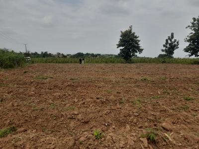 Acres and Hectares of Farm Land, Aiyetoro, Abeokuta North, Ogun, Land for Sale