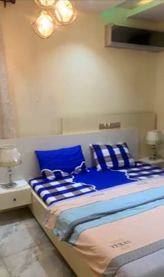 Luxury 1 Bedroom, Asokoro Extension, Asokoro District, Abuja, Mini Flat (room and Parlour) for Rent