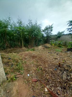 an Empty Land in Secured Environment, Mercy Land Estate,ayo Ipaja, Ipaja, Lagos, Residential Land for Sale