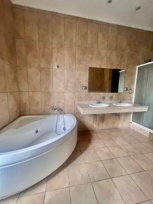 Exquisite Luxurious 2 Bedroom Apartment with Bq, Oniru, Victoria Island (vi), Lagos, Flat / Apartment for Rent