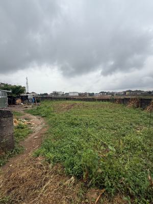 Buildable and Liveable Residential Plot of Land About 1200sqm, Jabi Dakibiyu, Jabi, Abuja, Residential Land for Sale