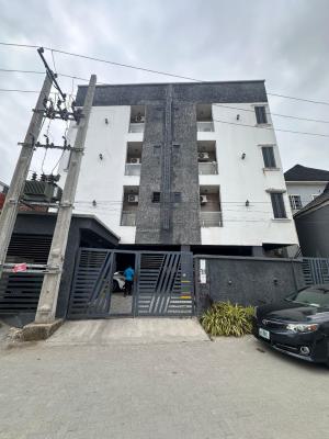 2bedroom Fully Furnished Apartment (3rd Floor), Ologolo, Lekki, Lagos, Flat / Apartment for Rent