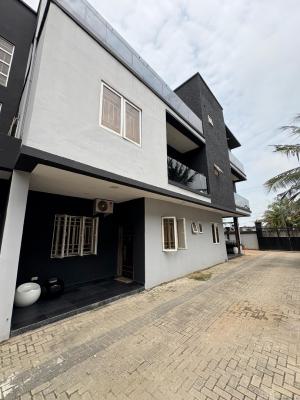 Exotic 2 Bedroom Luxury Apartment, Ikate, Lekki, Lagos, Flat / Apartment for Rent