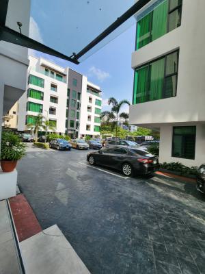 Luxury 3 Bedroom Penthouse with Bq., Obeds Palace Apartment, Ikoyi, Lagos, Detached Duplex for Rent