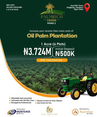 Government Approved Palm Oil Plantation Strategically Located, Asa Ilobi, Ilaro Road, Onigbedu, Ewekoro, Ogun, Mixed-use Land for Sale