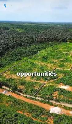 Government Approved Palm Oil Plantation Strategically Located, Asa Ilobi, Ilaro Road, Onigbedu, Ewekoro, Ogun, Mixed-use Land for Sale