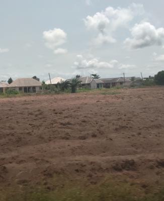 Government Approved Palm Oil Plantation Strategically Located, Asa Ilobi, Ilaro Road, Onigbedu, Ewekoro, Ogun, Mixed-use Land for Sale