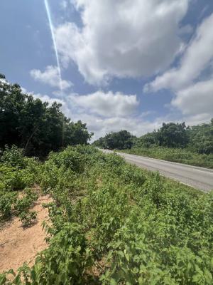 8 Acres of Land at Ijaiye Moniya Road, #8m/acre, Ijaiye After Moniya, Iseyin, Oyo, Mixed-use Land for Sale