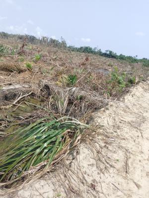 Affordable Land with C of O Near Lekki Lagos Airport, Elerenigbe, Ibeju Lekki, Lagos, Land for Sale