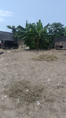 Dry Land Fenced and Gated with Gazette, Survey and Deed of Assignment, Osobia Road Estate, Ajiwe, Ajah, Lagos, Mixed-use Land for Sale