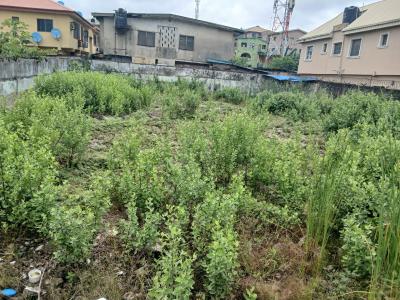 a Well Located Bareland Buy and Build, Pako Area, Akoka, Yaba, Lagos, Residential Land for Sale