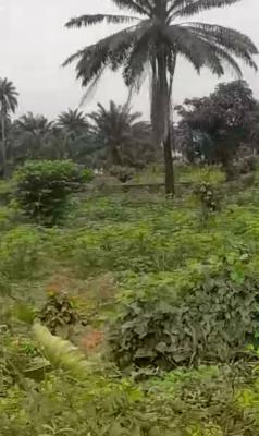 Eighteen (18) Plots of Land, Obirikwere Airport Road, Port Harcourt, Rivers, Commercial Land for Sale