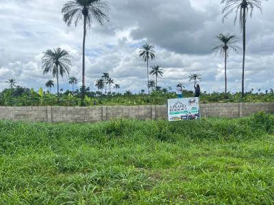 Upland Residence  Verified Freehold Title with 9 Month Payment Plan, Near Igboye Military Cantonment Epe-ijebu Ode Expressway Tomoba Igboye, Epe, Lagos, Land for Sale