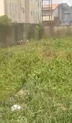 Fanced and Gated Distress 334 Square Meters Land, Peninsula Gardens Estate, Sangotedo, Ajah, Lagos, Residential Land for Sale